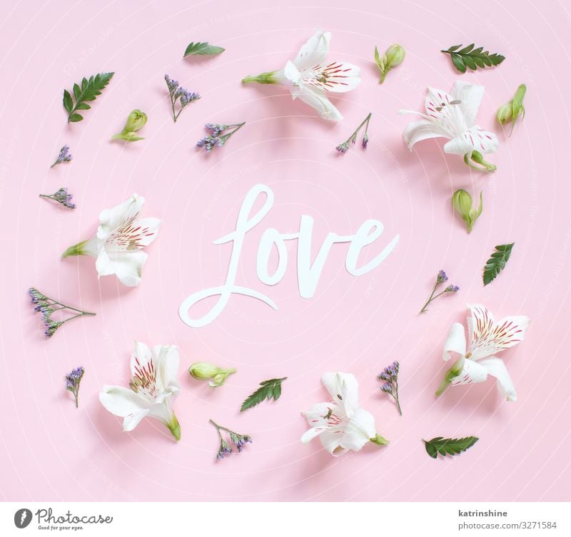 Flowers and word LOVE on a light pink background Design Decoration Wedding Woman Adults Mother Above Pink White Creativity romantic Word letters Blossom leave