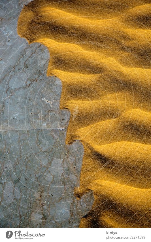 devastation Sand Climate change Drought Desert Stone Authentic Exceptional Exotic Hot Natural Dry Yellow Gray Movement Bizarre Nature Environment Transience