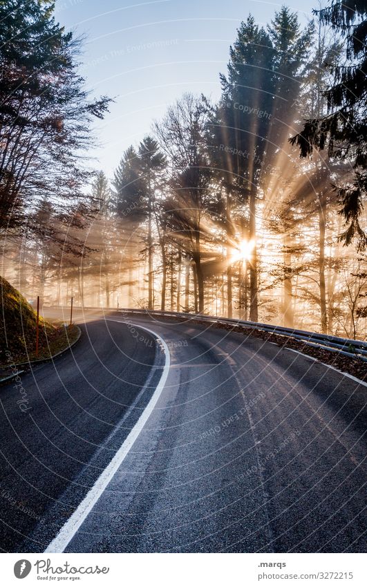 Country road in sunshine Sunbeam Morning Target Mobility Moody pretty Driving Curve Street Traffic infrastructure Transport Forest Beautiful weather Climate