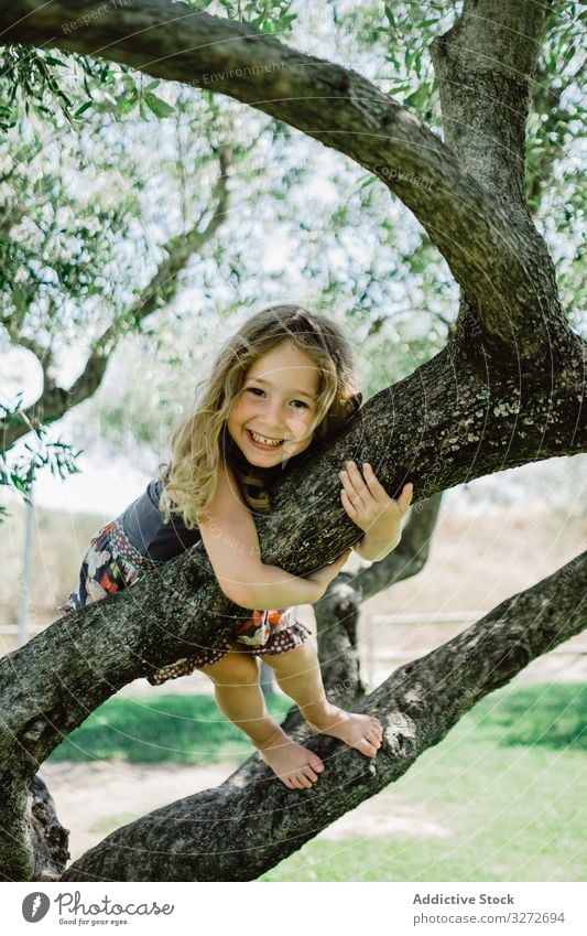 Smiling girl climbing tree in sunny day adventure garden having fun childhood excited nature summer holiday park active sport high brave green free time