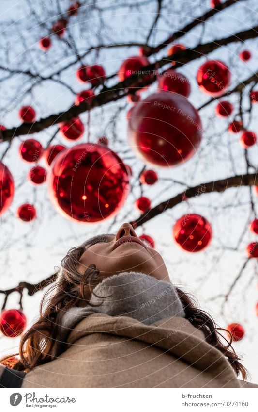 woman looks up at red balls, red balls on a tree Lifestyle Elegant Style Design Joy Leisure and hobbies Entertainment Party Event Feasts & Celebrations