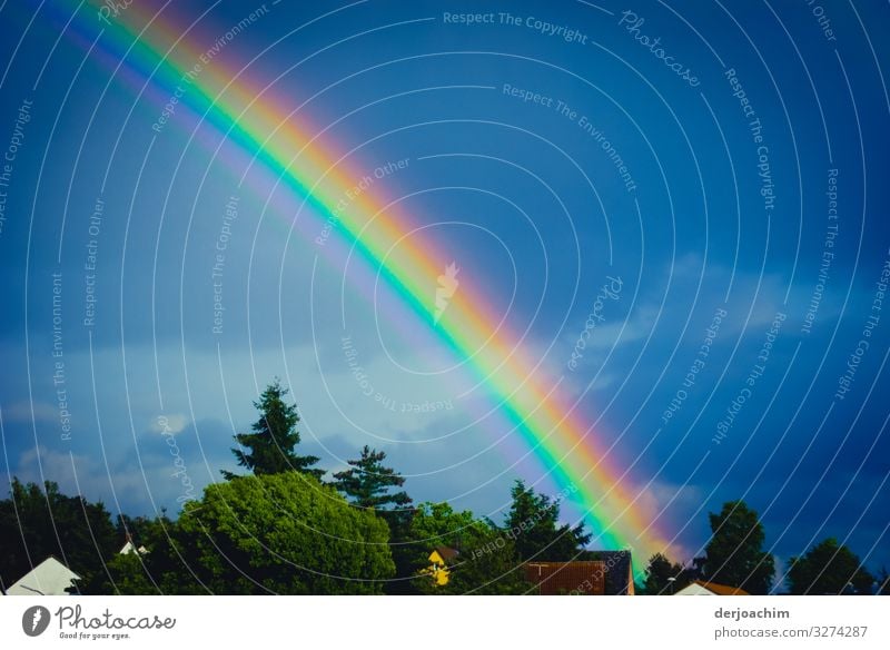 Rainbow over the houses. The colorful multicolored ray points into the blue sky. Joy Senses Summer Environment Cloudless sky Beautiful weather Foliage plant
