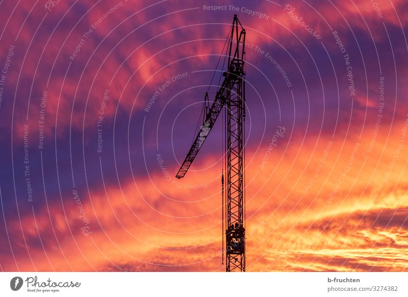 construction site Craftsperson Construction site Economy Industry Clouds Sunrise Sunset Work and employment Exceptional Threat Free Construction crane