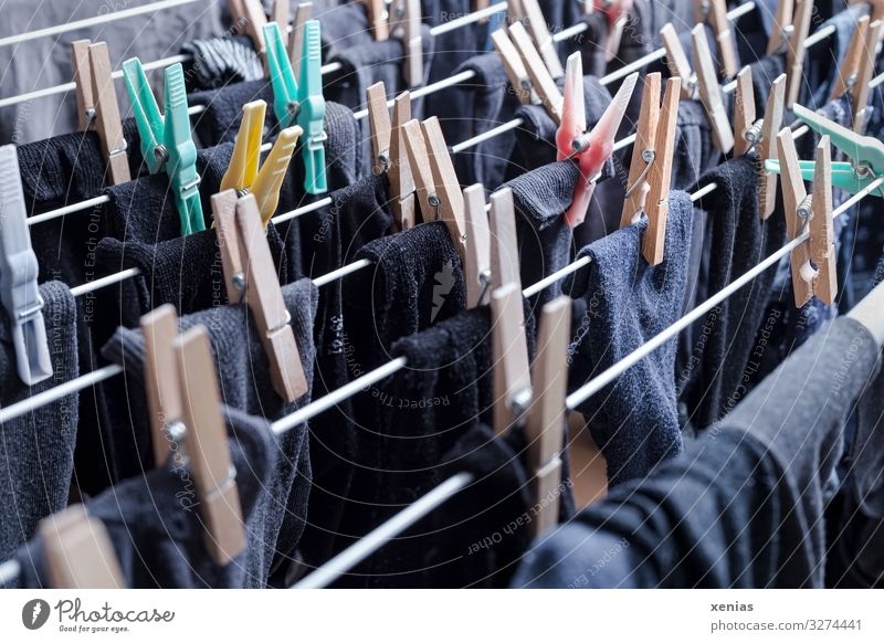 dark stockings with clothespins on clothes horse Living or residing Flat (apartment) Stockings Clothesline Clothes peg Wood Hang Fresh Clean Gray Black Laundry