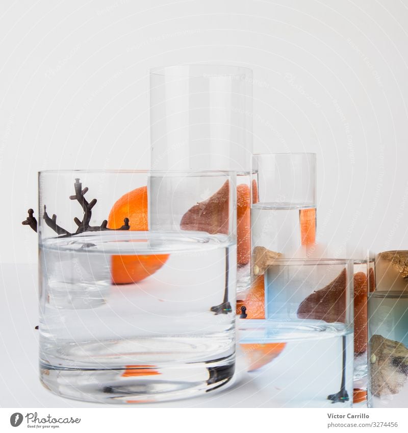 Fruits reflexions in glass with water Glass Esthetic Cool (slang) Elegant Colour Creativity Colour photo Multicoloured Interior shot Studio shot Deserted