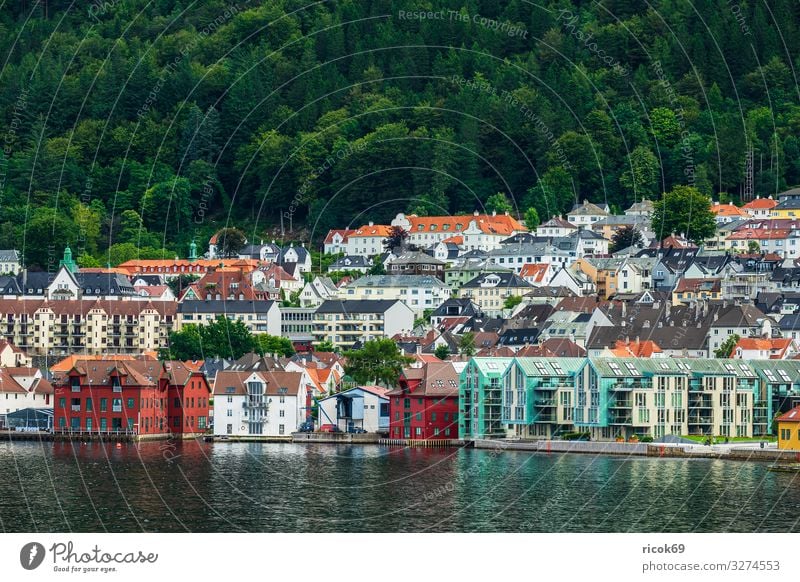 View to the city Bergen in Norway Vacation & Travel Tourism Ocean Mountain House (Residential Structure) Nature Landscape Water Tree Forest Hill Town Building