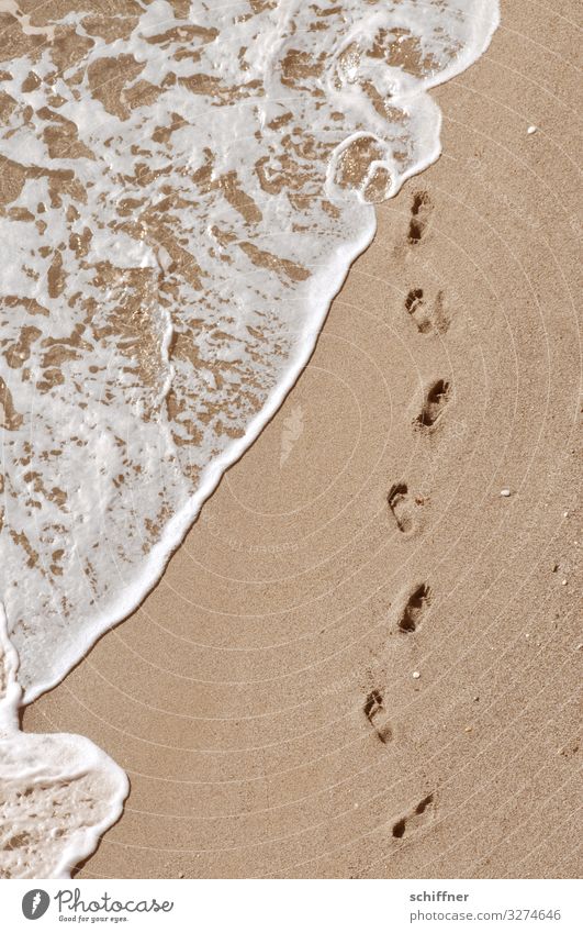 Footprint on the beach Beach Ocean Barefoot barefoot beach Sea water Waves White crest vacation Vacation mood ready for a holiday Vacation & Travel from on high