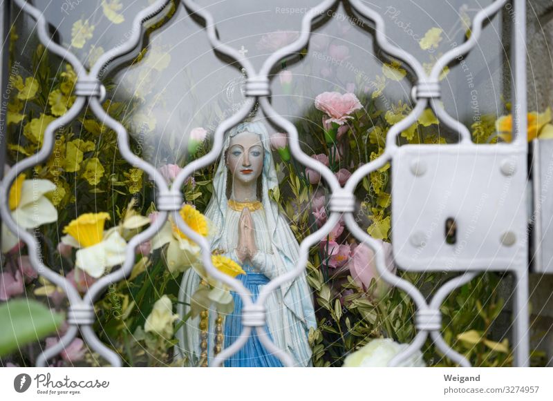 Mary behind bars Lifestyle Mother's Day Human being Feminine 1 Fragrance Hope Prayer Trust Catholicism Virgin Mary Rosary Grating Church Colour photo Looking