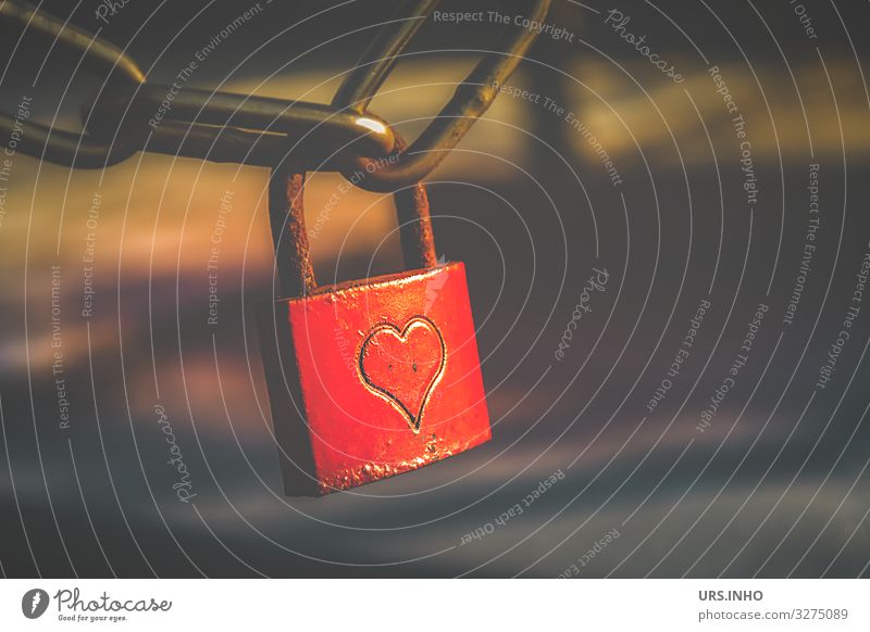 red love lock with heart Valentine's Day Sign Lock Heart Love padlock Brown Red Rust Iron chain Colour photo Exterior shot Deserted Copy Space right