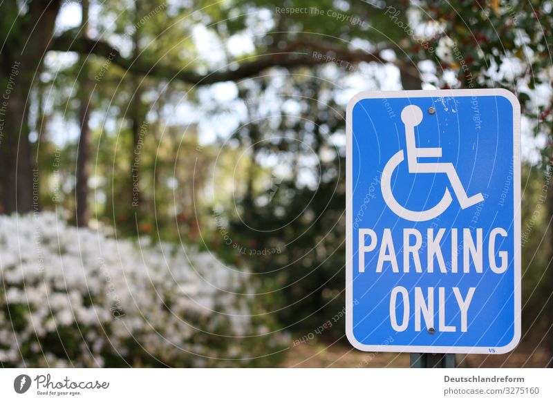 parking space Passenger traffic Wheelchair Road sign Blue Green White Solidarity Independence Mobility Logistics Colour photo Exterior shot Day