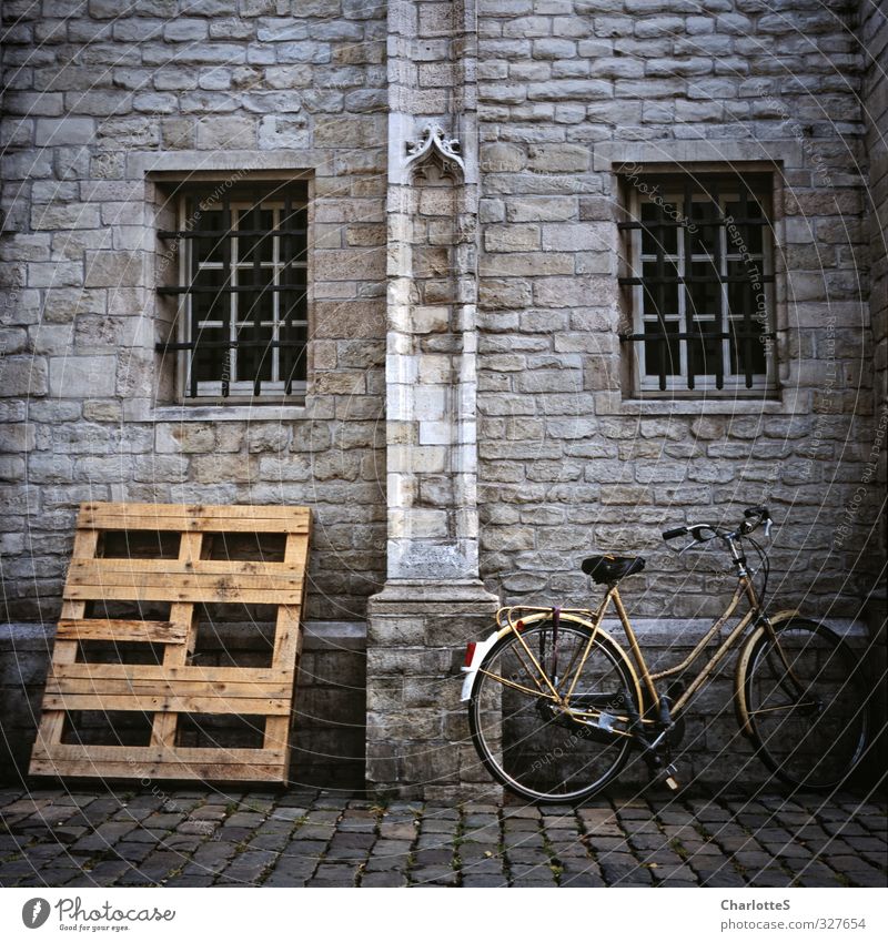 bicycle Bicycle Art Exhibition Subculture Wall (barrier) Wall (building) Facade Paving stone Packaging Palett Ornament Window Metal grid Stone Wood Analog Brown