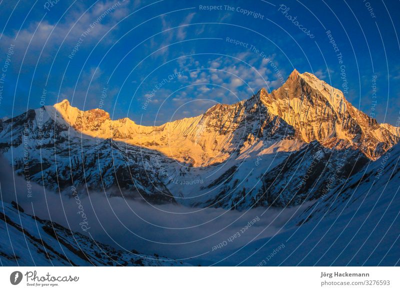 Starry sky over Machhepuchare and Annapurna Vacation & Travel Camping Snow Mountain Science & Research Nature Sky Horizon Dark Bright Long Black Himalaya Nepal
