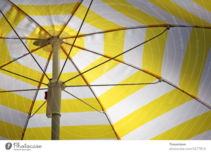 Parasol, bright Sunshade Yellow White Aspire linkage Light Shadow Exterior shot Deserted Summer Sunlight Cheerful Bright