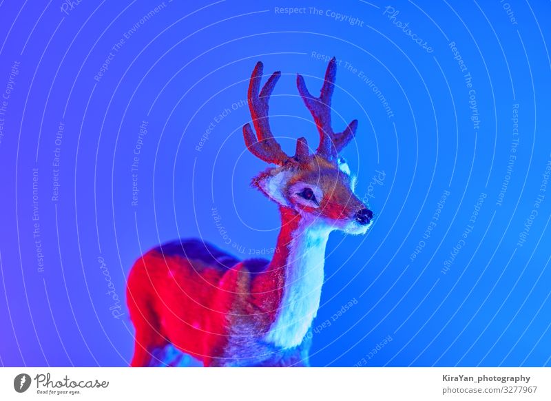 Modern art deer with shadow in duotone red and blue Design Decoration New Year's Eve Toys Glittering Bright Hip & trendy Blue Pink Red Colour Creativity