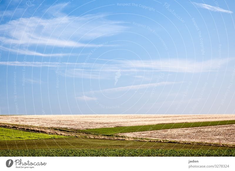 fields and blue skies. Field Sky Spring Green Grass Landscape Clouds Deserted Beautiful weather Day Environment Plant Meadow Copy Space top Horizon Nature Hill