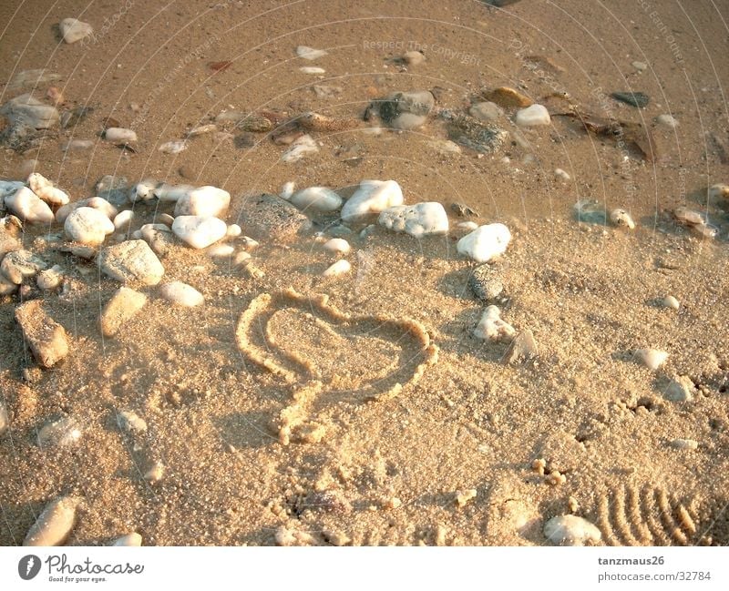 he loves me Beach Ocean Photographic technology Heart Sand Stone Water Love