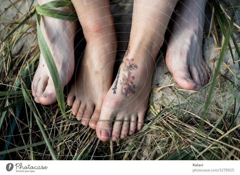 Feet of a couple on the beach Grass Barefoot Couple Beach Nail polish Tattoo green Woman toe leg Summer Naked Nature human People Family youthful outside Body