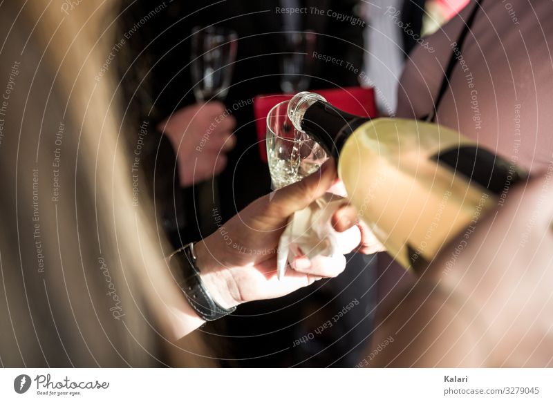 Woman pouring champagne into a glass Sparkling wine Toast Glass Vine Alcoholic drinks champaign Drinking Wedding Married couple toast Restaurant Party People