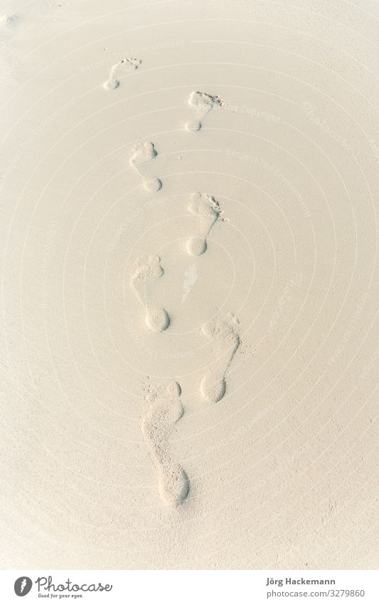 human adult footprint at the beach Ocean Human being Adults Feet Nature Sand Footprint Loneliness Ko Samet Koh Samet Thailand Asia Barefoot clear Fine