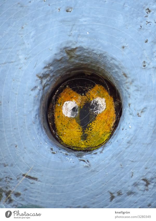 pussycat Graffiti Blue Yellow White Cat's head Hollow Porthole Hiding place Looking Colour photo Exterior shot Deserted Copy Space left Copy Space right