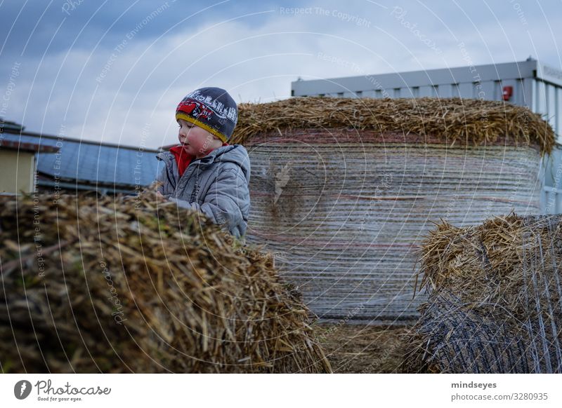 In straw Leisure and hobbies Playing Trip Farm Child Boy (child) 1 Human being 1 - 3 years Toddler Clouds Bad weather Straw Bale of straw Jacket Cap Movement