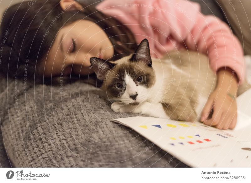 Sleeping girl with her little cat at home relaxed on sofa. Sleeping while doing homework Lifestyle Reading Sofa Child Woman Adults Book Pet Cat Stripe Fatigue