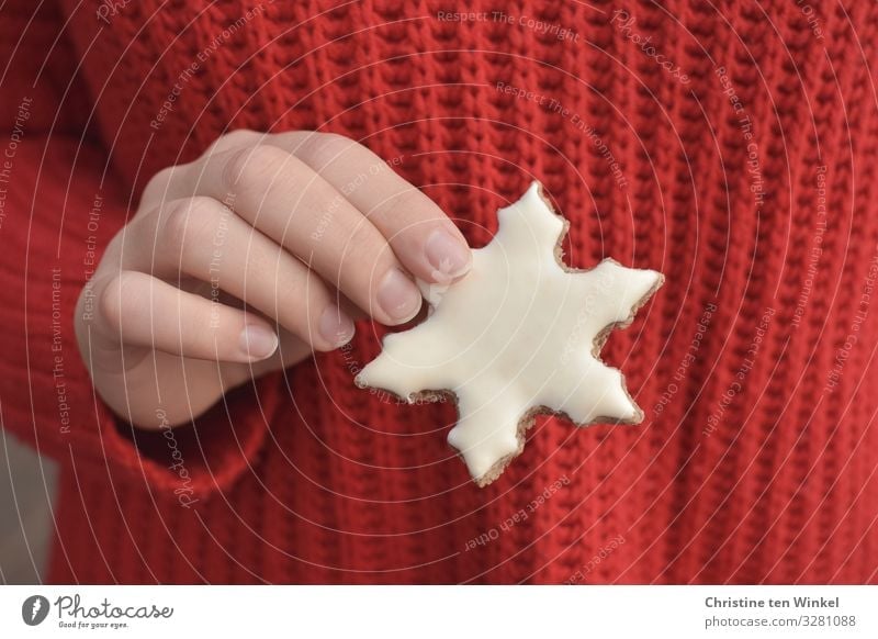 female hand holding a white Christmas cookie in snowflake form; red knitted sweater as background Food Dough Baked goods Candy Cookie Christmas biscuit