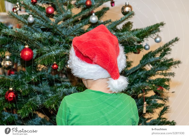 Child with Christmas cap in front of Christmas tree Party Event Feasts & Celebrations Christmas & Advent Head Back 1 Human being 8 - 13 years Infancy Tree Cap