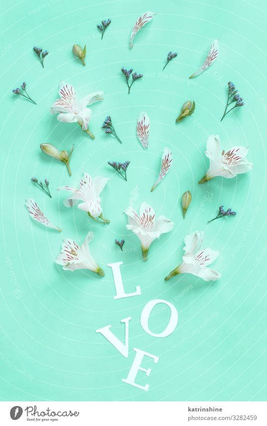 Flowers and word LOVE on a light green background Design Decoration Valentine's Day Mother's Day Wedding Woman Adults Characters Above Green White Creativity