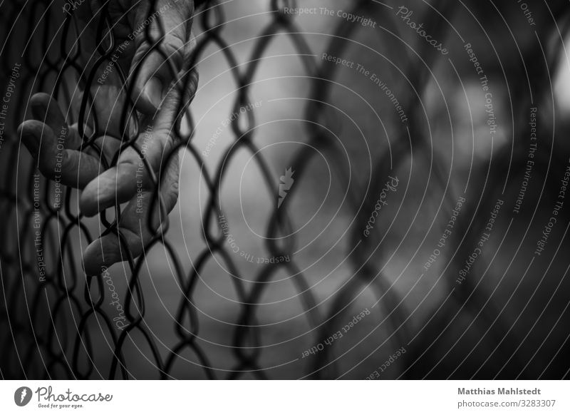 border Hand Fence Metal Touch Dark Black White Emotions Concern Longing Wanderlust Loneliness Claustrophobia Surveillance Bans Black & white photo Exterior shot