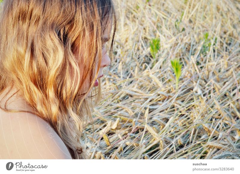 Summer in your hair Hair and hairstyles Blonde Undulating lured Summery Sunlight Warmth Profile Head Child Girl Shoulder Field Straw Grain field Exterior shot