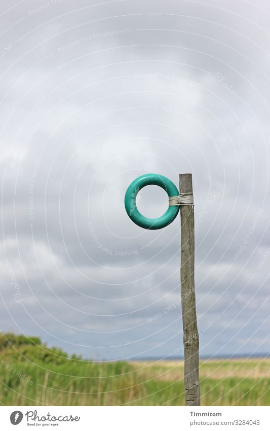 O| Ring Plastic Pole Wood Wooden stake fixed Sign Clue Fjord Grass Green background Sky Clouds Denmark Deserted Colour photo Nature Vacation & Travel