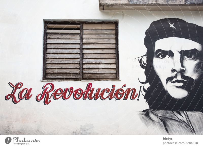 el Che Masculine Face 1 Human being Cuba Facade Window Sign Characters Graffiti Authentic Famousness Success Positive Gray Red Black White Bravery