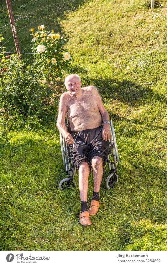 senior man relaxes in the wheelchair Joy Happy Relaxation Summer Garden Man Adults Warmth Emotions eighty glasses ninety retired Wheelchair Colour photo