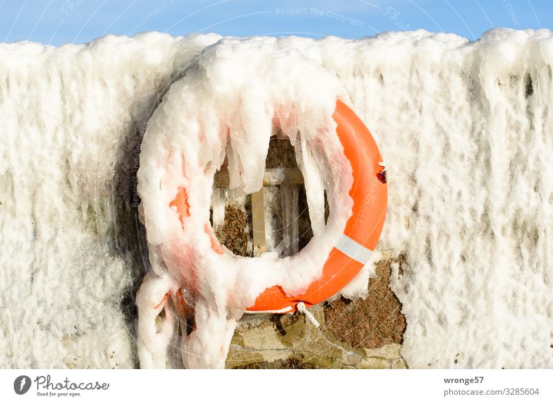 Winter at the sea I Harbour Hang Cold Maritime Blue Orange White Safety Rescue Ice Icicle Frozen Life belt Emergency Wall (barrier) Mole Colour photo