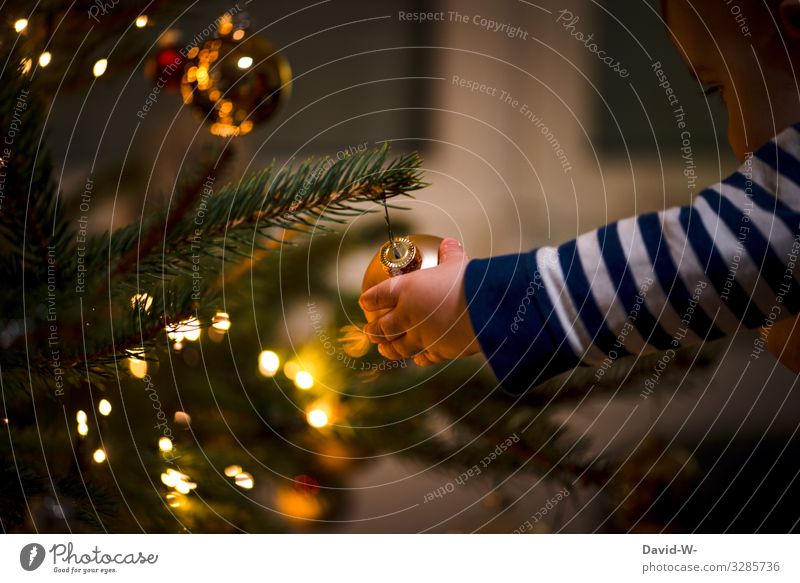 Child explores the Christmas tree and reaches for a Christmas tree ball Christmas & Advent ornament Hand inquisitorial Anticipation Glitter Ball Christmas mood