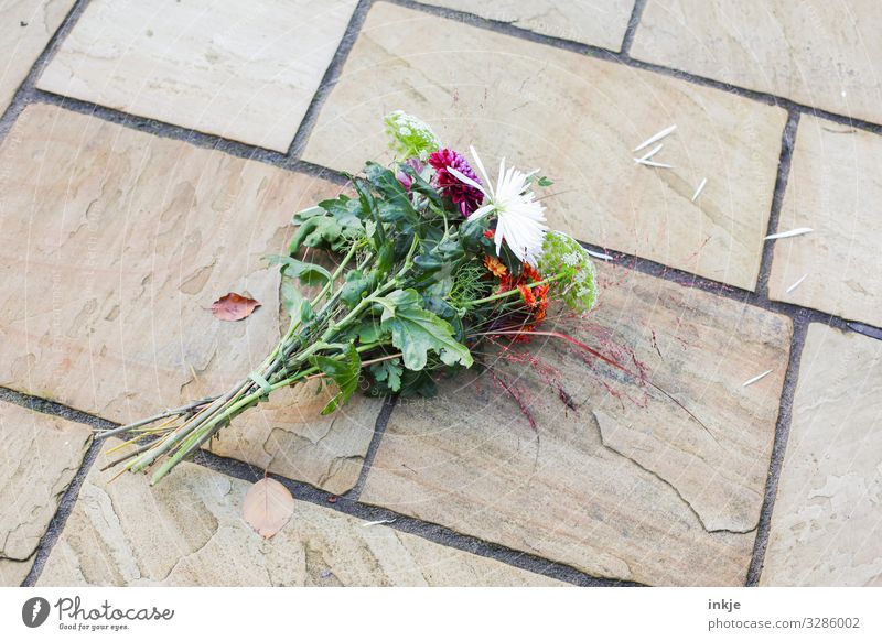 And out Deserted Terrace Bouquet Stone Authentic Gloomy Emotions Moody Love Lovesickness Disappointment Aggravation Embitterment Defiant Transience Faded
