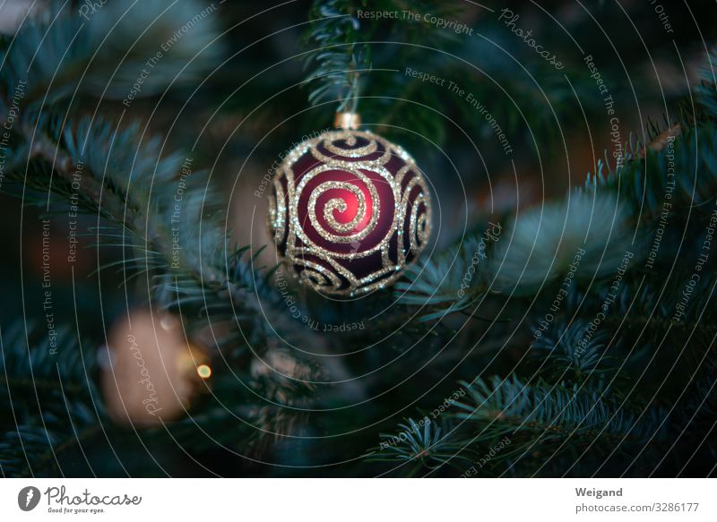 Christmas tree ball Christmas & Advent New Year's Eve Illuminate Round Sphere Colour photo Interior shot Copy Space left Copy Space right Copy Space top