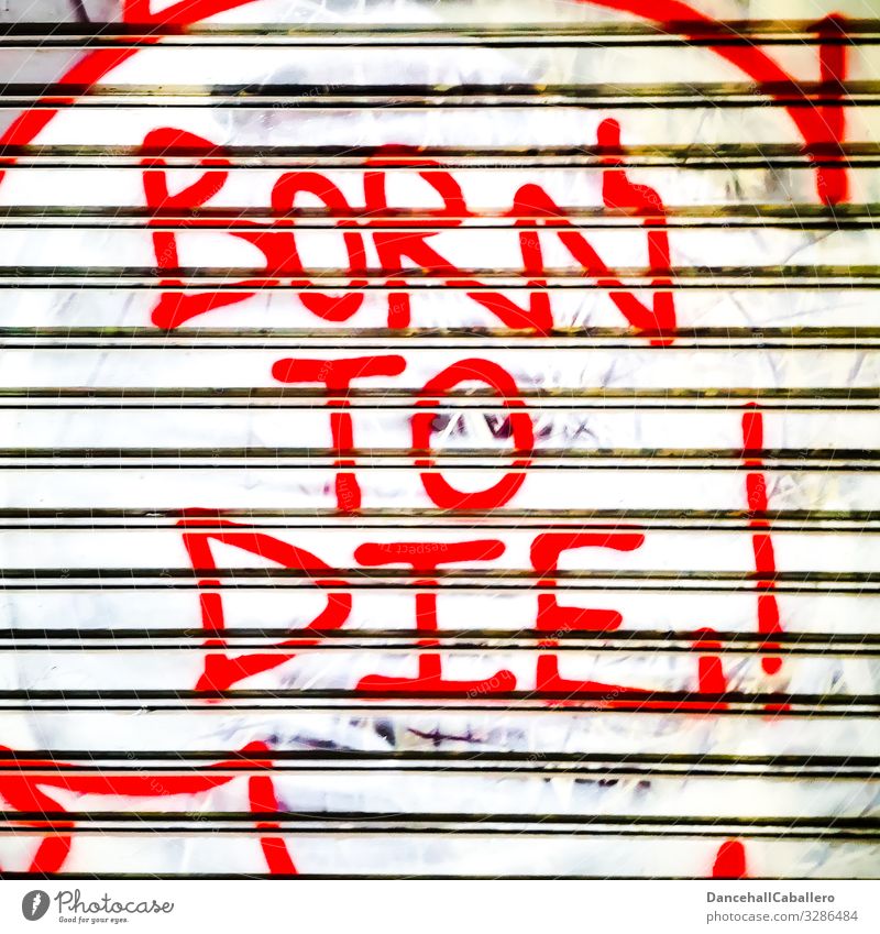 written graffiti on a rolling gate tanned to die Graffiti born Death Birth pass away Garage door Roller shutter Lifestyle Town Remark Wall (barrier) Change