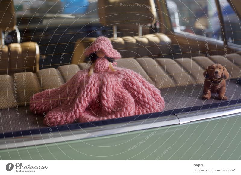 Back seat with lady and dachshund Style Car Vintage car Mercedes Decoration Uniqueness Kitsch Retro Brown Green Pink Orderliness Idyll Mobility Nostalgia