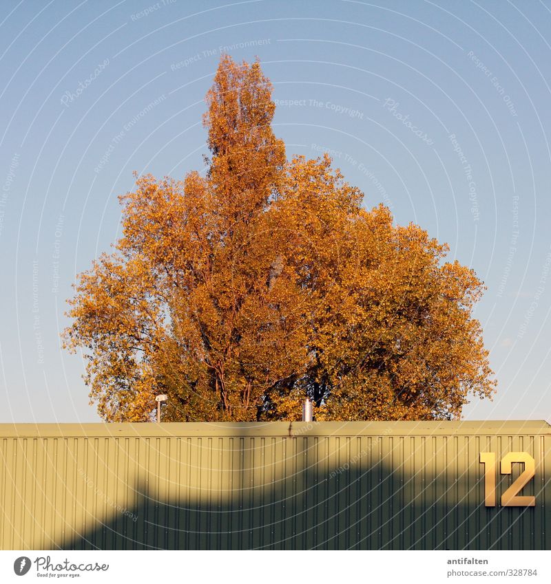 12 Nature Summer Autumn Tree Leaf Outskirts Building Warehouse Metal Digits and numbers Hang Esthetic Blue Brown Yellow Green Contentment Logistics Storage