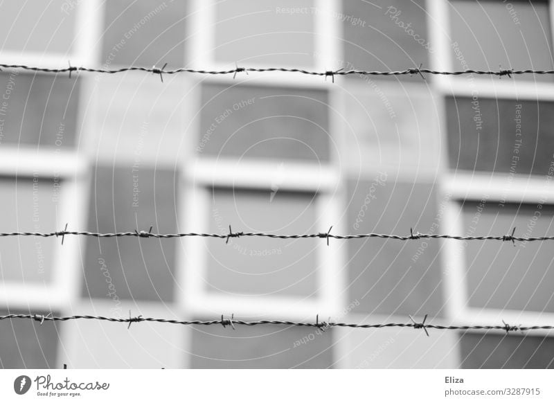 forbidden Barbed wire fence Threat Safety Exclusion Safety (feeling of) Border Penitentiary Bans Black & white photo Exterior shot Deserted Copy Space middle