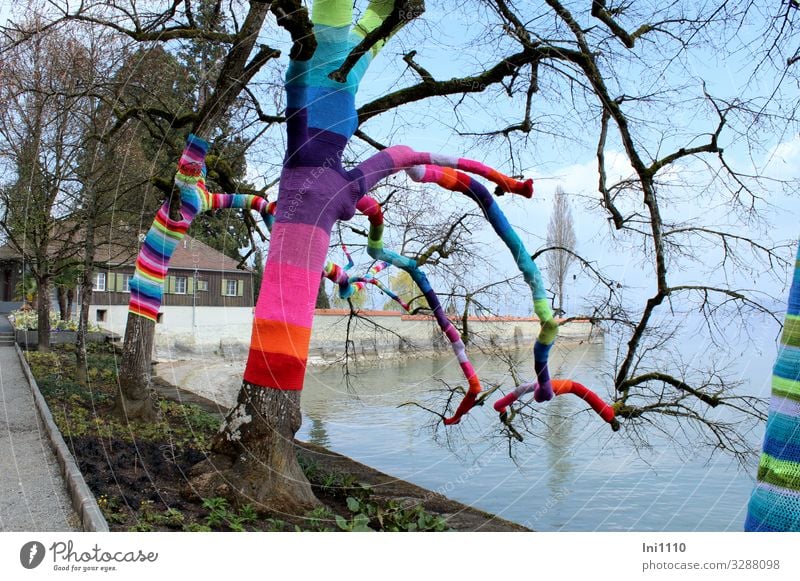 urban knitting Joy Leisure and hobbies Handcrafts Knit Art Nature Landscape Plant Water Spring Beautiful weather Tree Park Lakeside Island Lake Constance