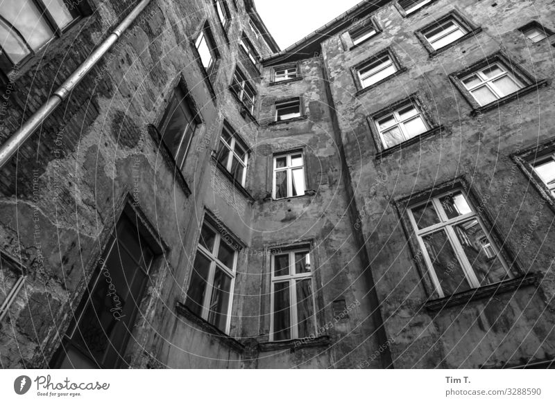 Backyard Berlin Prenzlauer Berg Town Capital city Downtown Old town Deserted House (Residential Structure) Manmade structures Building Architecture