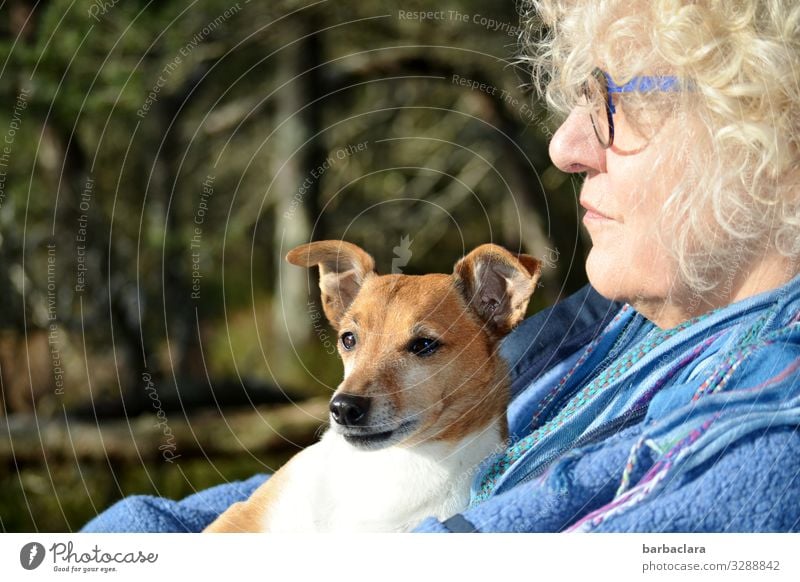 farsighted | view of the lake Woman Adults 1 Human being 60 years and older Senior citizen Nature Landscape Tree Bushes Fen Eyeglasses Blonde Curl Dog Animal