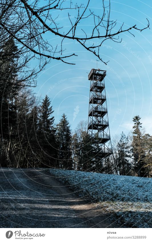 lookout tower Lookout tower Tower panhandle Switzerland Forest Architecture Metal Stairs Vantage point Mountain Alps forest path Clouds Blue Landscape Nature