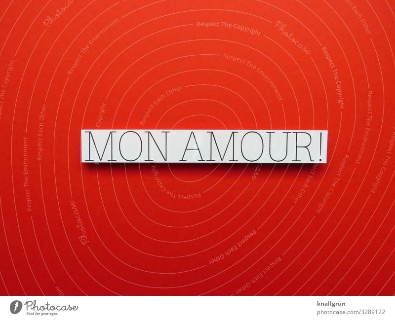 Mon Amour! French Love Declaration of love Heart Romance Infatuation Emotions Display of affection With love Valentine's Day Moody Happy heartfelt Trust