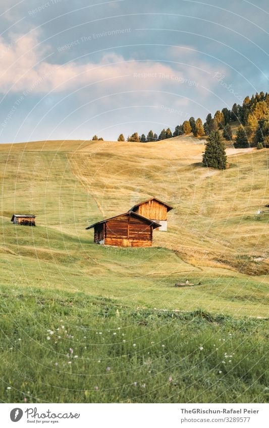 Morning mood - Alpe di Siusi Nature Landscape Blue Green Pink Alpine pasture Seiser Alm Alps alpine hut Chalet vacation Dawn Clouds Forest Meadow Pasture Italy