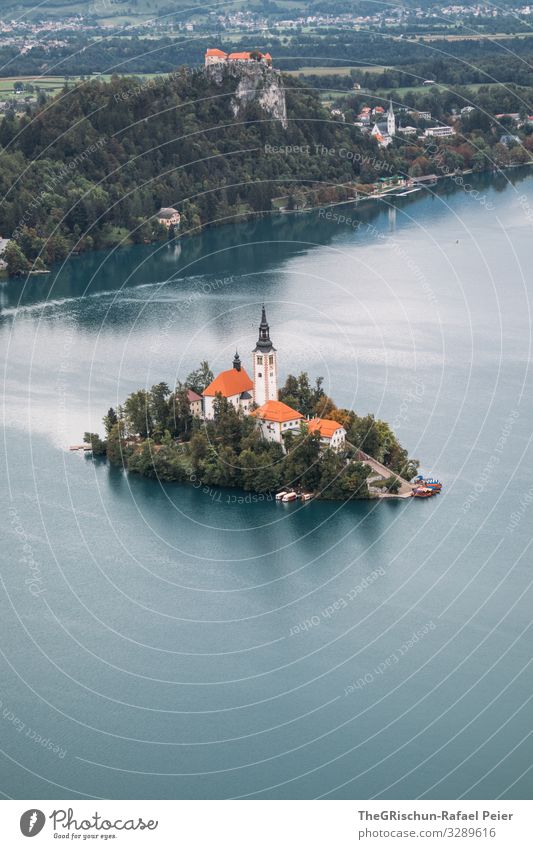 Lake Bled Environment Nature Blue Orange White Slovenia Island lake bled Travel photography Vantage point Lock Church Roof House (Residential Structure) Tree
