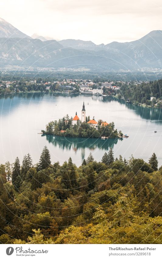 Lake Bled Small Town Green White Slovenia lake bled Church Reflection Island Tourism Vacation & Travel Forest Mountain Colour photo Exterior shot Deserted